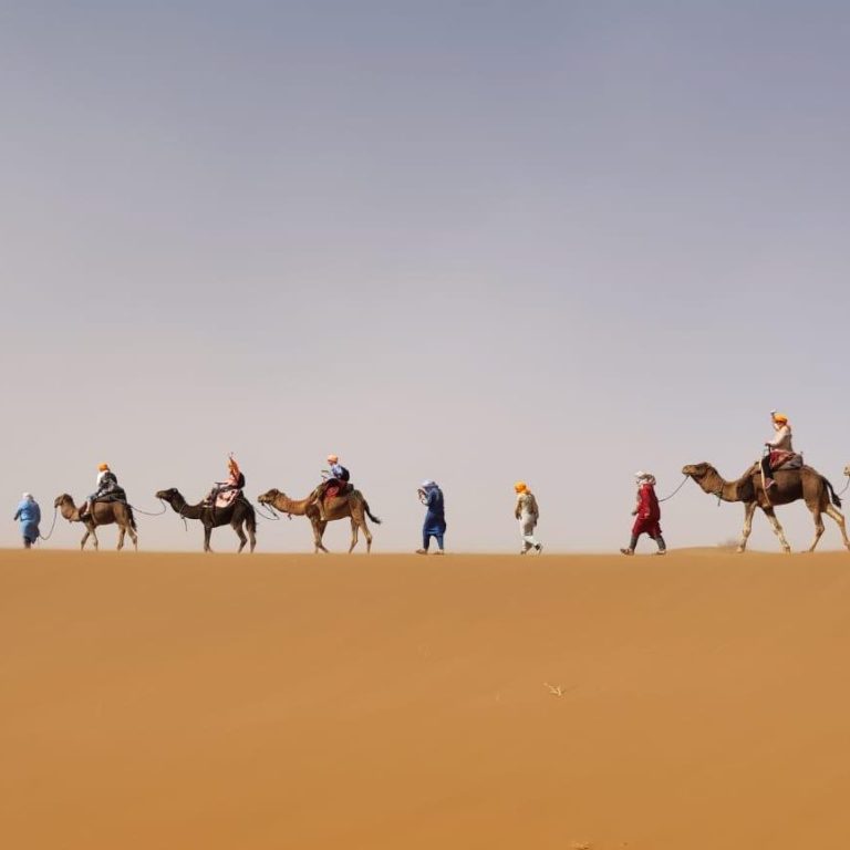 Caravane de dromadaires dans le désert marocain